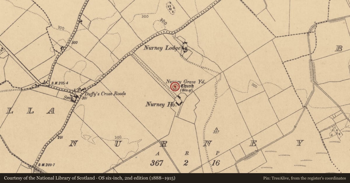 Ordnance Survey six-inch map, 2nd edition (1888–1915) covering the location of Graveyard, Nurney, County Kildare, with a pin at the register's coordinates