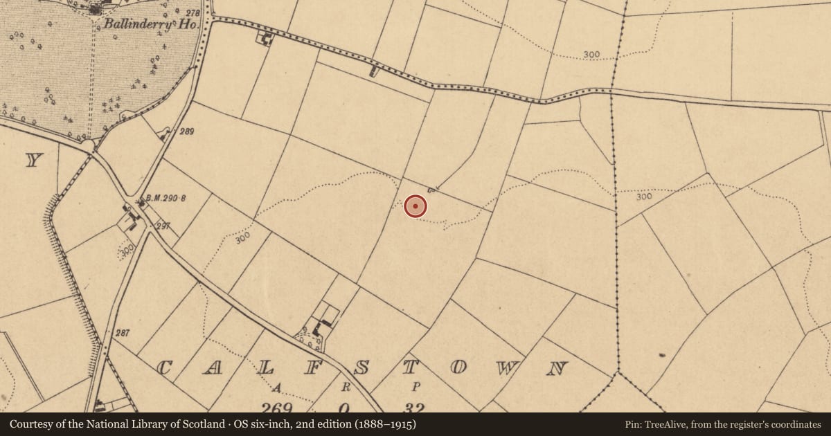Ordnance Survey six-inch map, 2nd edition (1888–1915) covering the location of Enclosure, Calfstown, County Kildare, with a pin at the register's coordinates