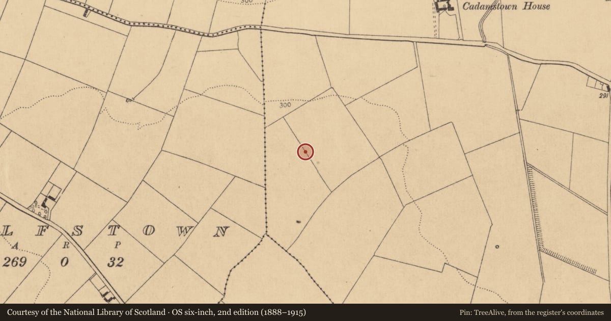 Ordnance Survey six-inch map, 2nd edition (1888–1915) covering the location of Ringfort - rath, Cadamstown, County Kildare, with a pin at the register's coordinates