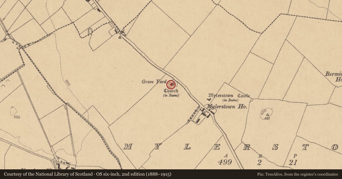 Ordnance Survey six-inch map, 2nd edition (1888–1915) covering the location of Graveslab, Mylerstown, County Kildare, with a pin at the register's coordinates