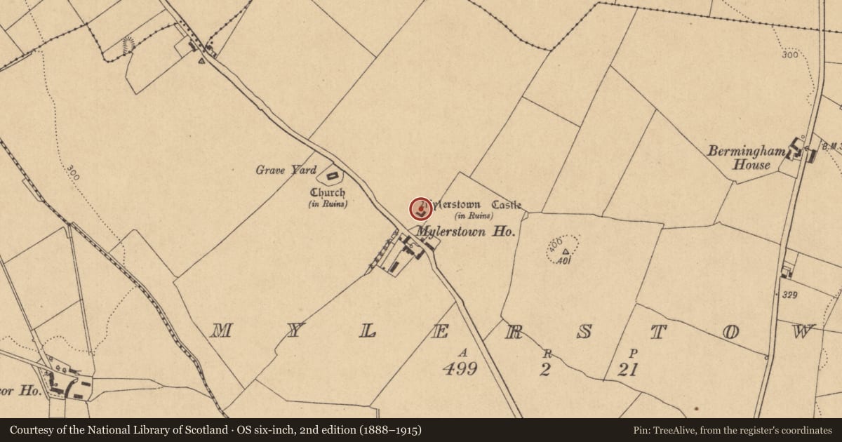 Ordnance Survey six-inch map, 2nd edition (1888–1915) covering the location of Castle - tower house, Mylerstown, County Kildare, with a pin at the register's coordinates