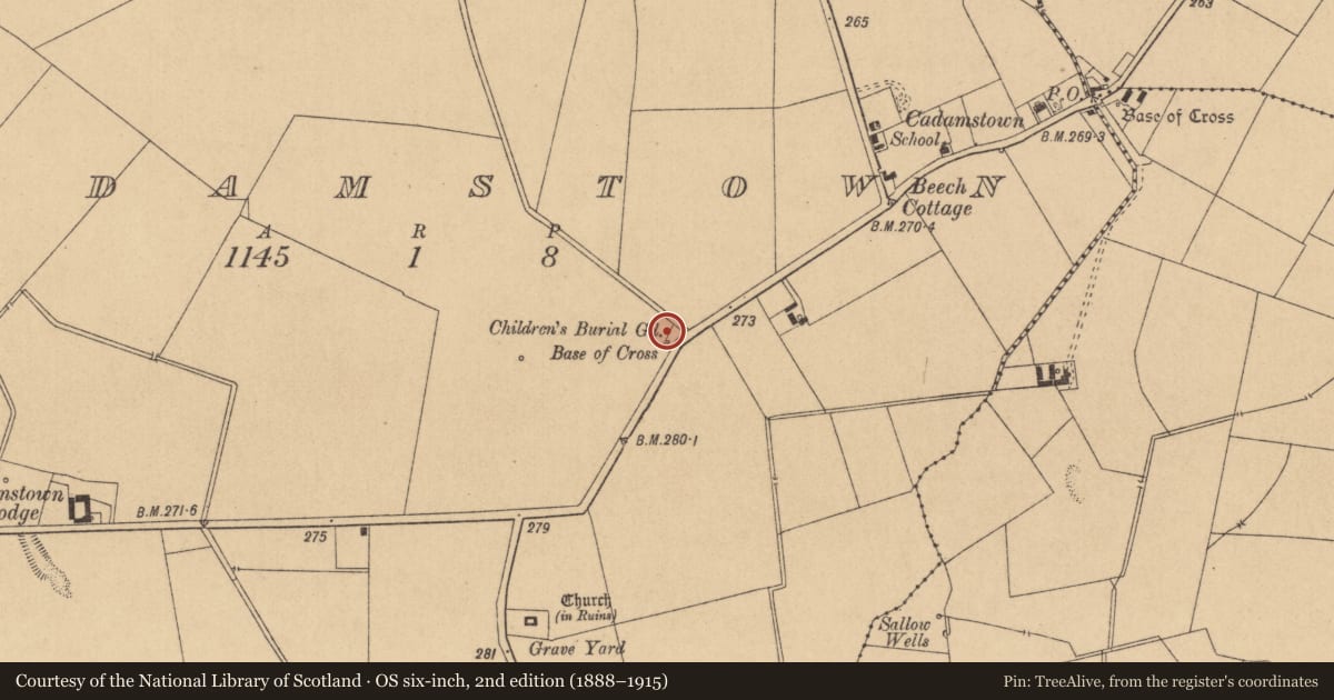 Ordnance Survey six-inch map, 2nd edition (1888–1915) covering the location of Children's burial ground, Cadamstown, County Kildare, with a pin at the register's coordinates