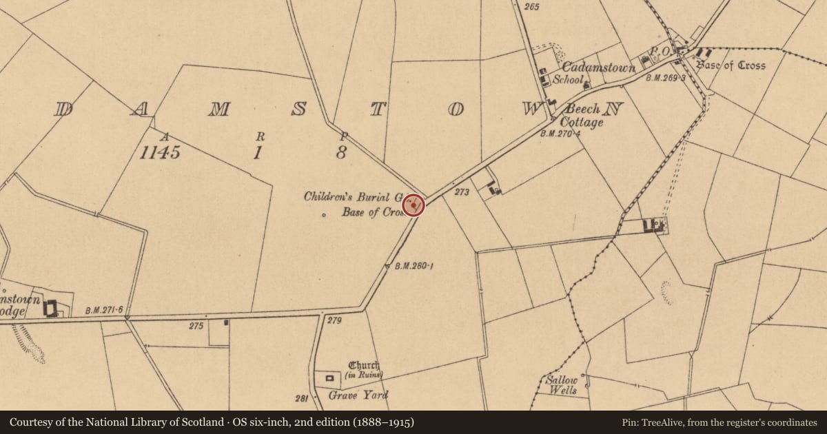 Ordnance Survey six-inch map, 2nd edition (1888–1915) covering the location of Cross, Cadamstown, County Kildare, with a pin at the register's coordinates