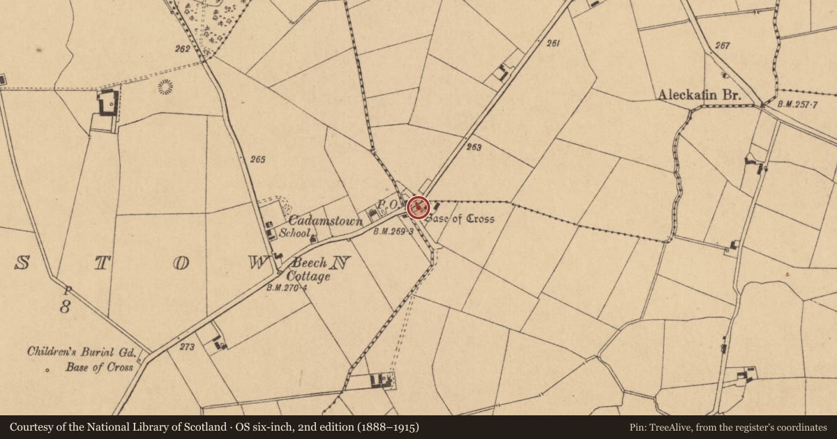 Ordnance Survey six-inch map, 2nd edition (1888–1915) covering the location of Burial ground, Clonagh, County Kildare, with a pin at the register's coordinates