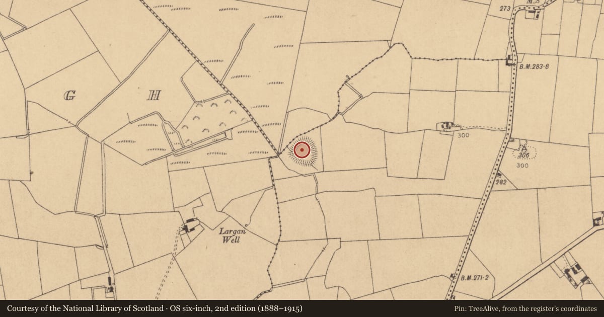 Ordnance Survey six-inch map, 2nd edition (1888–1915) covering the location of Ringfort - rath, Kilshanchoe, County Kildare, with a pin at the register's coordinates