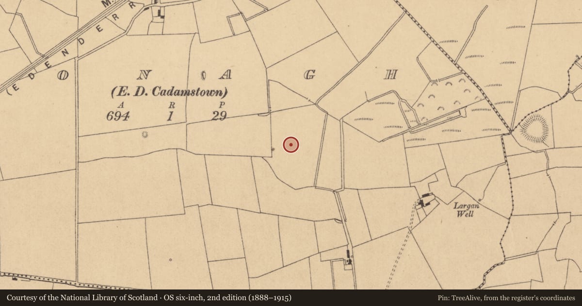 Ordnance Survey six-inch map, 2nd edition (1888–1915) covering the location of Moated site, Clonagh, County Kildare, with a pin at the register's coordinates