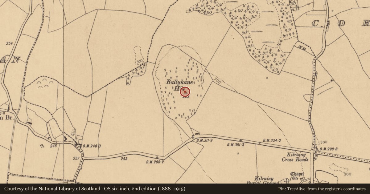 Ordnance Survey six-inch map, 2nd edition (1888–1915) covering the location of Barrow - ring-barrow, Kilrainy, County Kildare, with a pin at the register's coordinates