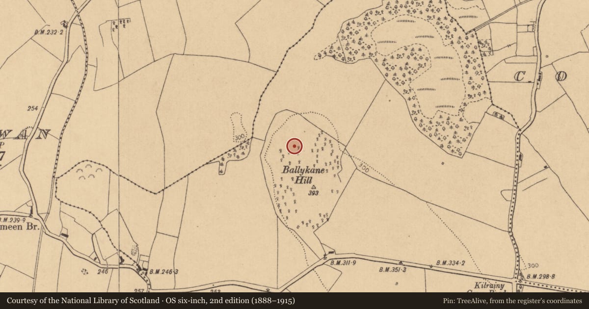 Ordnance Survey six-inch map, 2nd edition (1888–1915) covering the location of Excavation - miscellaneous, Kilrathmurry, County Kildare, with a pin at the register's coordinates