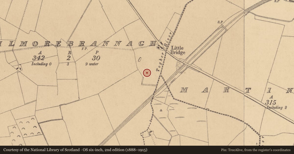 Ordnance Survey six-inch map, 2nd edition (1888–1915) covering the location of Fulacht fia, Kilmorebrannagh, County Kildare, with a pin at the register's coordinates