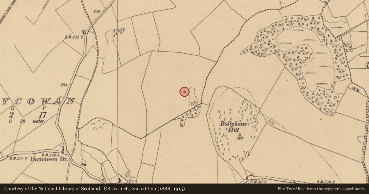Ordnance Survey six-inch map, 2nd edition (1888–1915) covering the location of Metalworking site, Kilrathmurry, County Kildare, with a pin at the register's coordinates