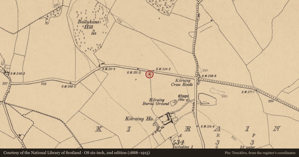Ordnance Survey six-inch map, 2nd edition (1888–1915) covering the location of Kiln - lime, Kilrainy, County Kildare, with a pin at the register's coordinates