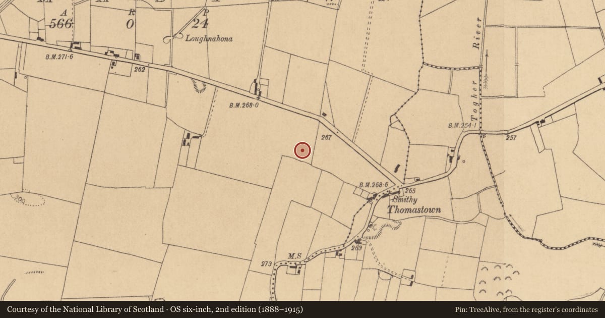 Ordnance Survey six-inch map, 2nd edition (1888–1915) covering the location of Ring-ditch, Thomastown, County Kildare, with a pin at the register's coordinates