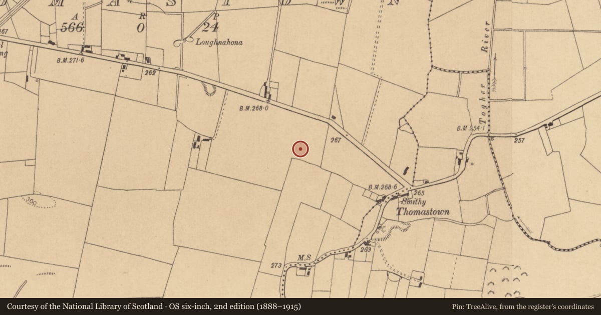Ordnance Survey six-inch map, 2nd edition (1888–1915) covering the location of Ringfort - unclassified, Thomastown, County Kildare, with a pin at the register's coordinates