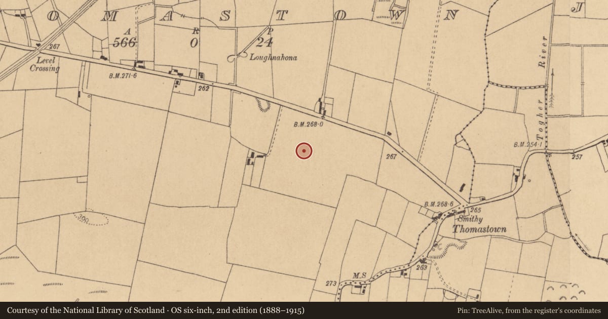Ordnance Survey six-inch map, 2nd edition (1888–1915) covering the location of Ringfort - unclassified, Thomastown, County Kildare, with a pin at the register's coordinates