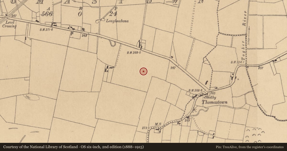 Ordnance Survey six-inch map, 2nd edition (1888–1915) covering the location of Field system, Thomastown, County Kildare, with a pin at the register's coordinates