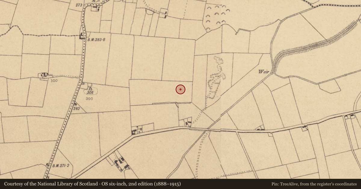 Ordnance Survey six-inch map, 2nd edition (1888–1915) covering the location of Barrow - unclassified, Kilmurry, County Kildare, with a pin at the register's coordinates