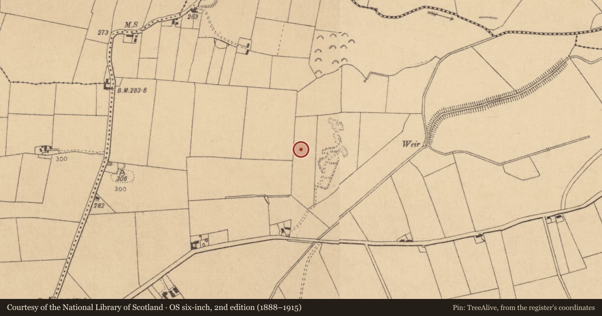 Ordnance Survey six-inch map, 2nd edition (1888–1915) covering the location of Barrow - unclassified, Kilmurry, County Kildare, with a pin at the register's coordinates