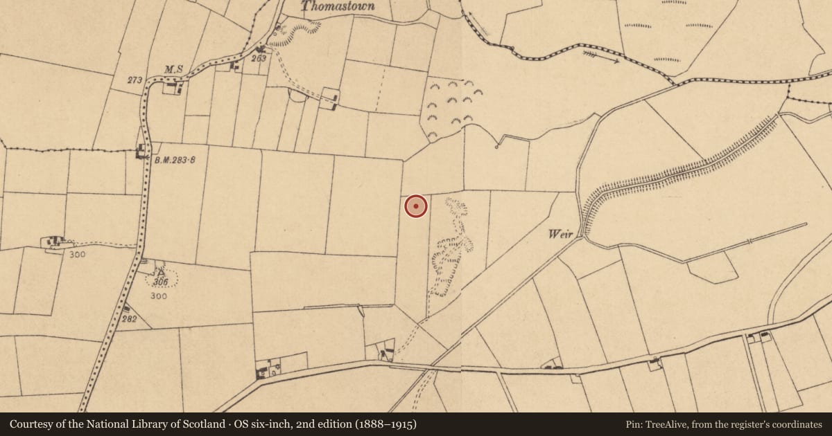 Ordnance Survey six-inch map, 2nd edition (1888–1915) covering the location of Barrow - unclassified, Kilmurry, County Kildare, with a pin at the register's coordinates