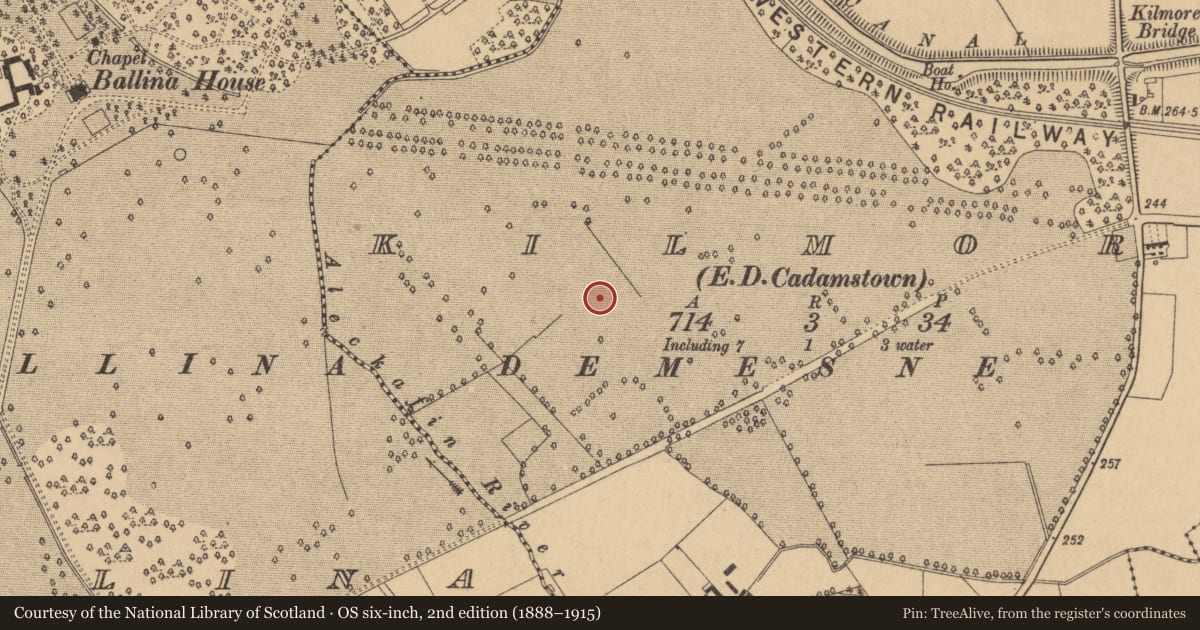 Ordnance Survey six-inch map, 2nd edition (1888–1915) covering the location of Enclosure, Kilmore, County Kildare, with a pin at the register's coordinates