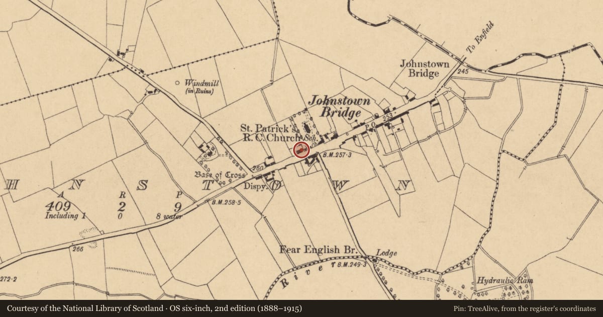Ordnance Survey six-inch map, 2nd edition (1888–1915) covering the location of Armorial plaque (present location), Johnstown, County Kildare, with a pin at the register's coordinates