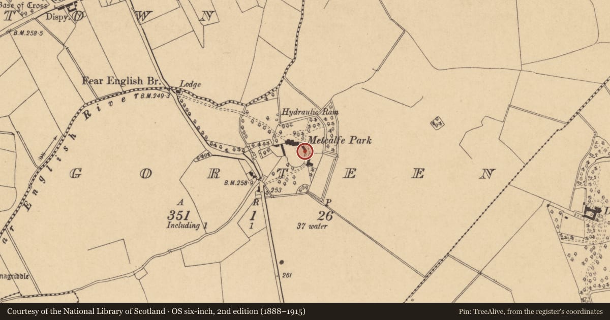 Ordnance Survey six-inch map, 2nd edition (1888–1915) covering the location of Stone head, Gorteen, County Kildare, with a pin at the register's coordinates