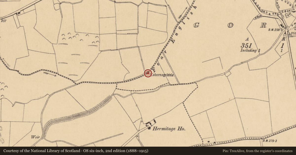 Ordnance Survey six-inch map, 2nd edition (1888–1915) covering the location of Ritual site - holy well, Gorteen, County Kildare, with a pin at the register's coordinates