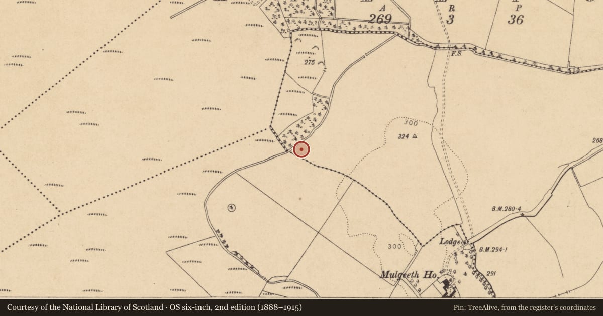 Ordnance Survey six-inch map, 2nd edition (1888–1915) covering the location of Habitation site, Mucklon, County Kildare, with a pin at the register's coordinates