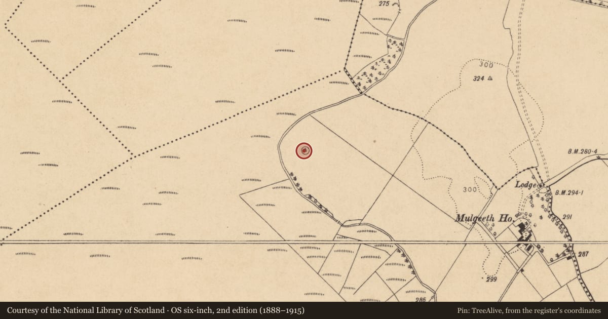 Ordnance Survey six-inch map, 2nd edition (1888–1915) covering the location of Ringfort - rath, Mulgeeth, County Kildare, with a pin at the register's coordinates