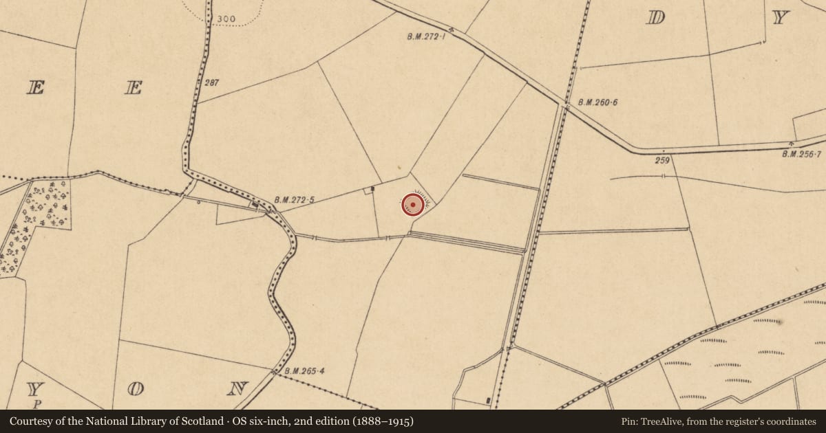 Ordnance Survey six-inch map, 2nd edition (1888–1915) covering the location of Moated site, Dunfierth, County Kildare, with a pin at the register's coordinates