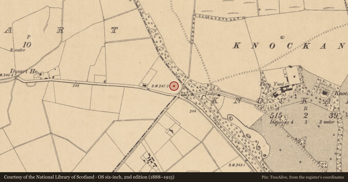Ordnance Survey six-inch map, 2nd edition (1888–1915) covering the location of Road - road/trackway, Dysart, County Kildare, with a pin at the register's coordinates