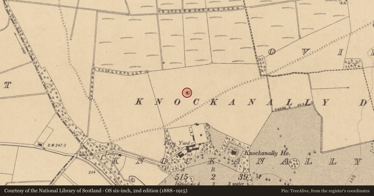Ordnance Survey six-inch map, 2nd edition (1888–1915) covering the location of Ringfort - rath, Knockanally, County Kildare, with a pin at the register's coordinates
