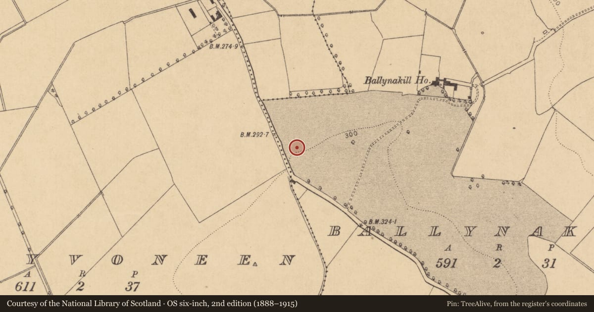 Ordnance Survey six-inch map, 2nd edition (1888–1915) covering the location of Excavation - miscellaneous, Ballynakill, County Kildare, with a pin at the register's coordinates