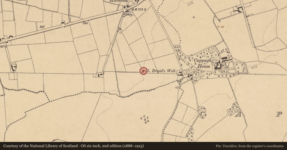 Ordnance Survey six-inch map, 2nd edition (1888–1915) covering the location of Ritual site - holy well, Kilbrook, County Kildare, with a pin at the register's coordinates