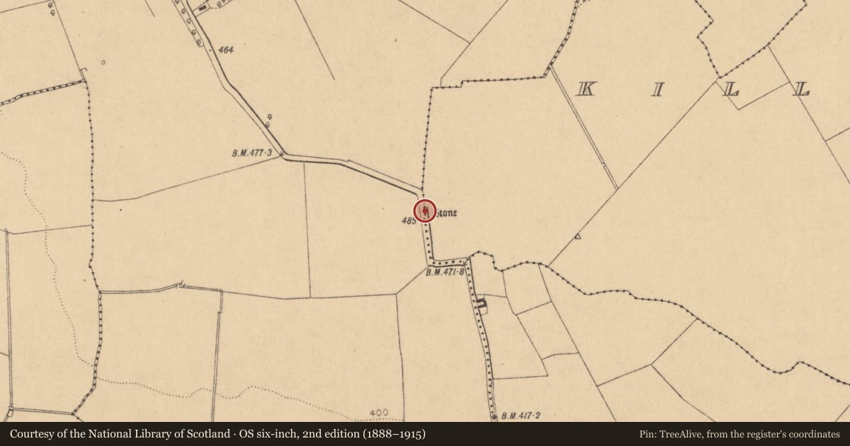 Ordnance Survey six-inch map, 2nd edition (1888–1915) covering the location of Architectural fragment, Killickaweeny, County Kildare, with a pin at the register's coordinates