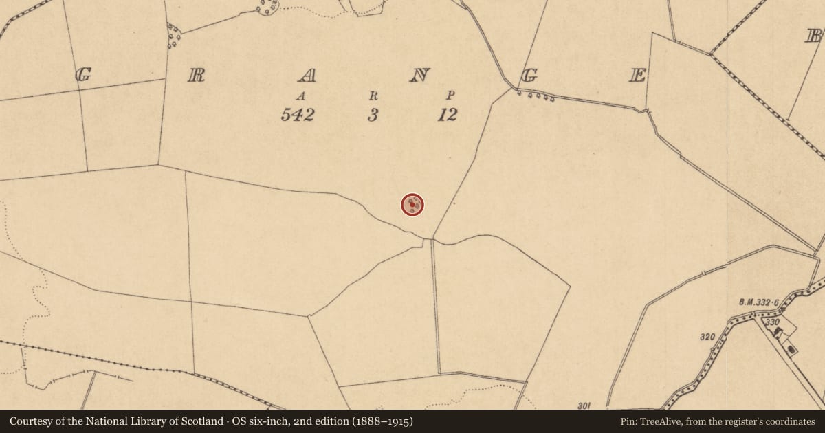 Ordnance Survey six-inch map, 2nd edition (1888–1915) covering the location of Ringfort - rath, Grange, County Kildare, with a pin at the register's coordinates