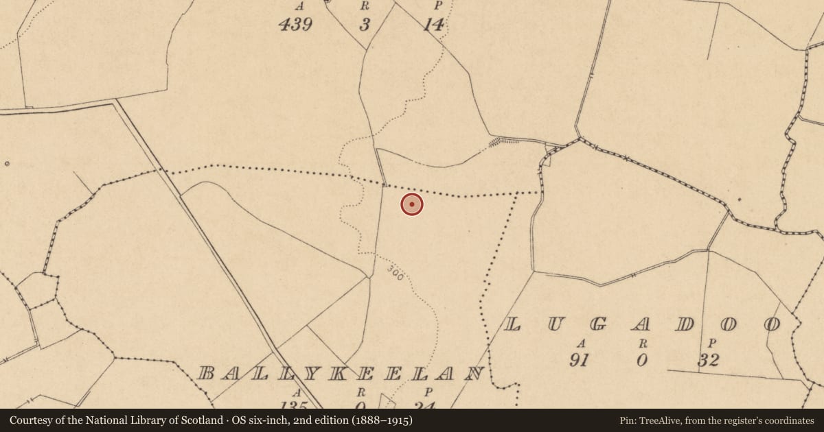 Ordnance Survey six-inch map, 2nd edition (1888–1915) covering the location of Enclosure, Ballykeelan, County Kildare, with a pin at the register's coordinates