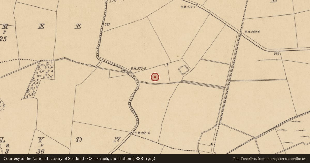 Ordnance Survey six-inch map, 2nd edition (1888–1915) covering the location of Moated site, Dunfierth, County Kildare, with a pin at the register's coordinates