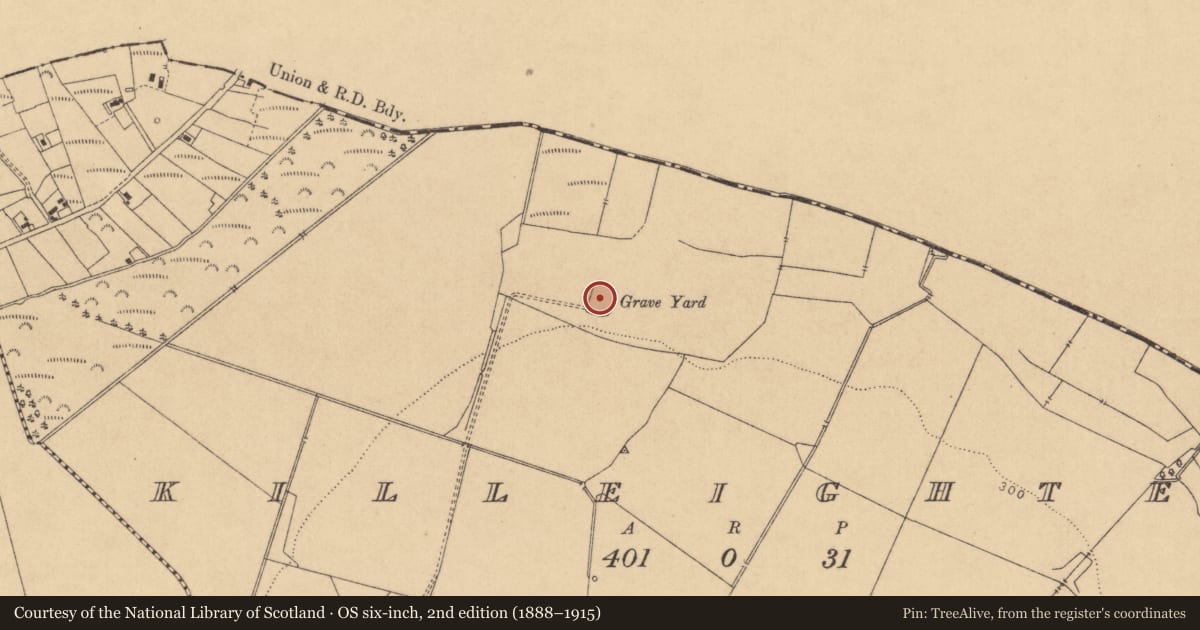 Ordnance Survey six-inch map, 2nd edition (1888–1915) covering the location of Ritual site - holy tree/bush, Killeighter, County Kildare, with a pin at the register's coordinates