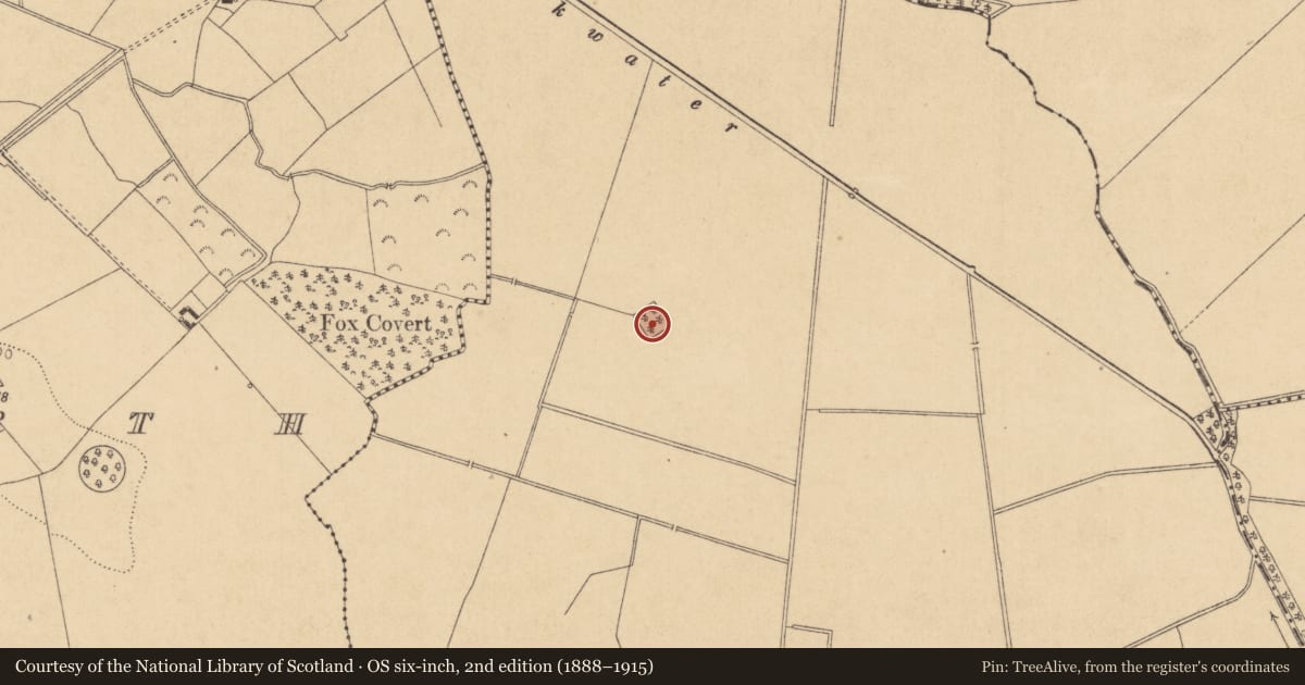 Ordnance Survey six-inch map, 2nd edition (1888–1915) covering the location of Moated site, Dysart, County Kildare, with a pin at the register's coordinates
