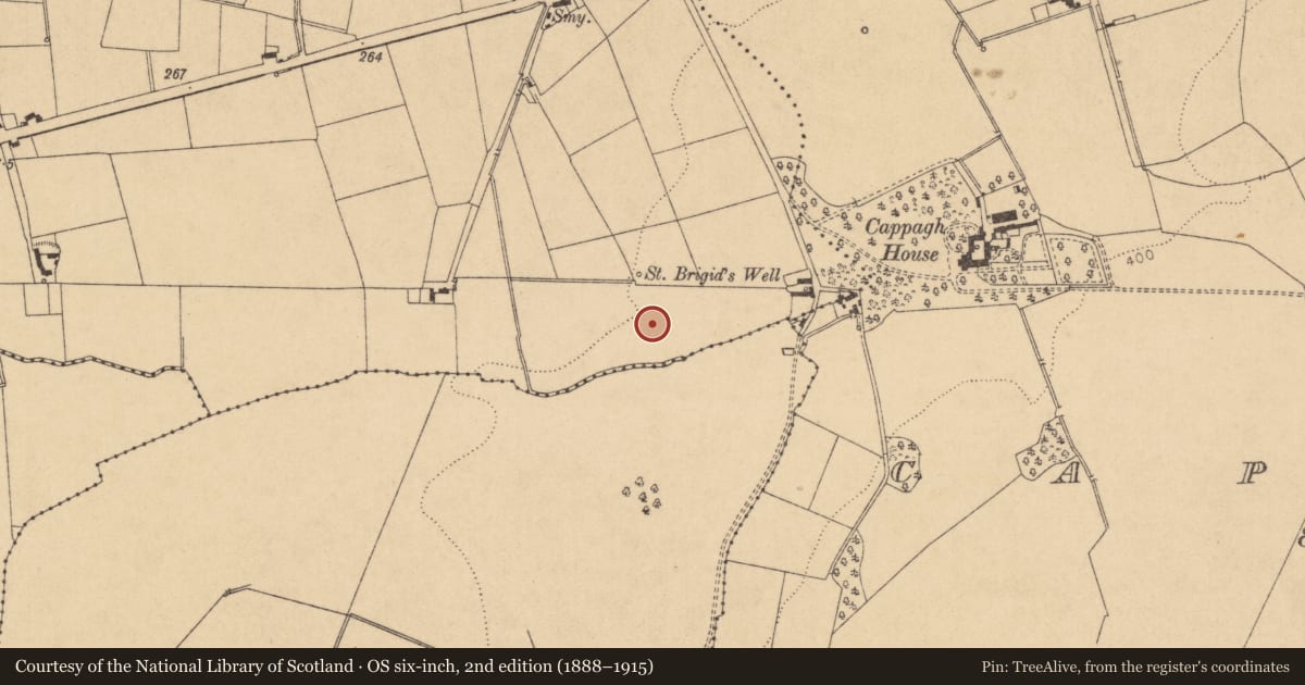 Ordnance Survey six-inch map, 2nd edition (1888–1915) covering the location of Mound, Kilbrook, County Kildare, with a pin at the register's coordinates