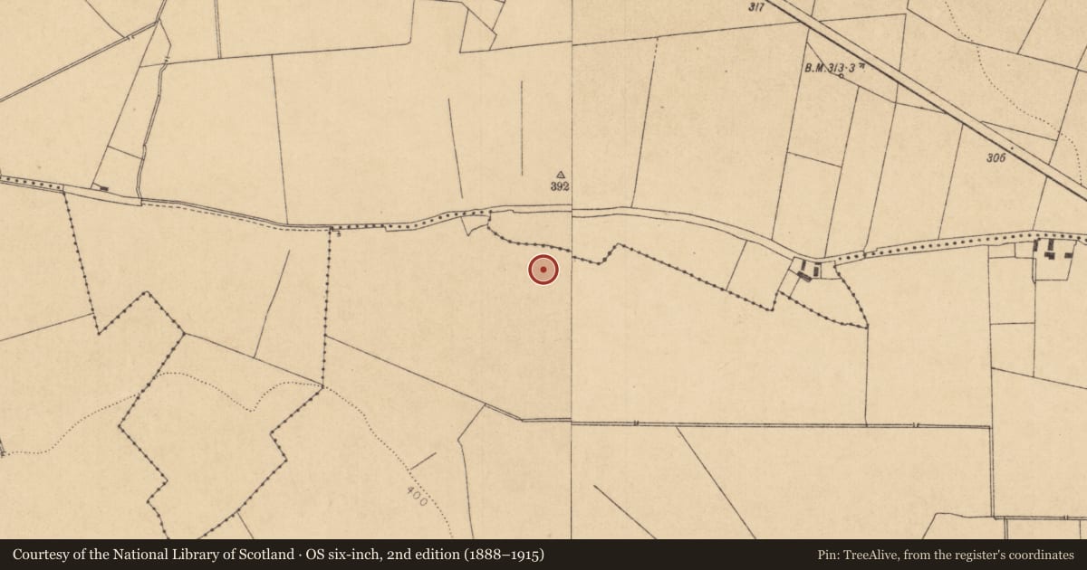 Ordnance Survey six-inch map, 2nd edition (1888–1915) covering the location of Fulacht fia, Killickaweeny, County Kildare, with a pin at the register's coordinates