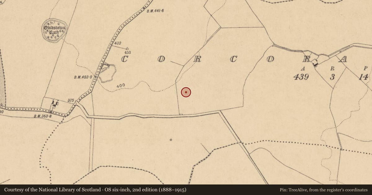 Ordnance Survey six-inch map, 2nd edition (1888–1915) covering the location of Battlefield, County Kildare, with a pin at the register's coordinates