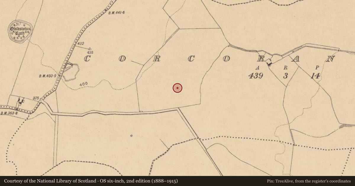 Ordnance Survey six-inch map, 2nd edition (1888–1915) covering the location of Earthwork, Corcoranstown, County Kildare, with a pin at the register's coordinates