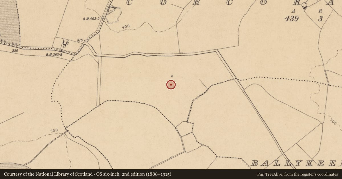 Ordnance Survey six-inch map, 2nd edition (1888–1915) covering the location of Enclosure, Corcoranstown, County Kildare, with a pin at the register's coordinates