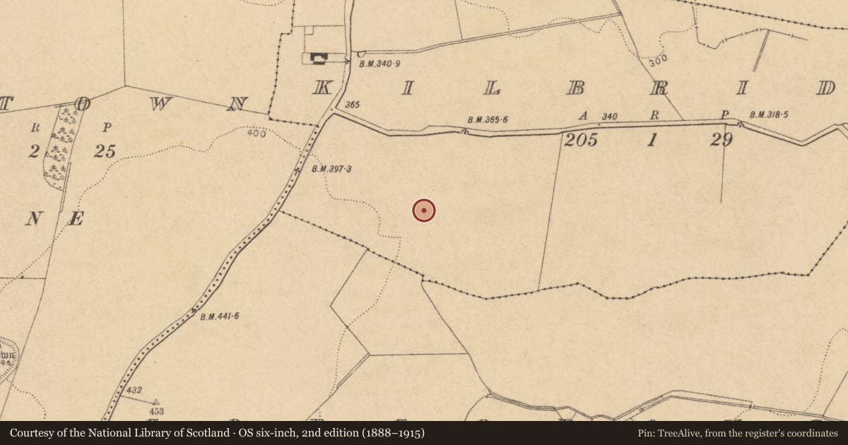 Ordnance Survey six-inch map, 2nd edition (1888–1915) covering the location of Enclosure, Kilbride, County Kildare, with a pin at the register's coordinates
