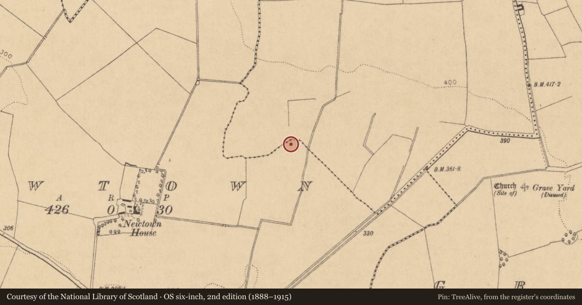 Ordnance Survey six-inch map, 2nd edition (1888–1915) covering the location of Cliff-edge fort, Newtown, County Kildare, with a pin at the register's coordinates