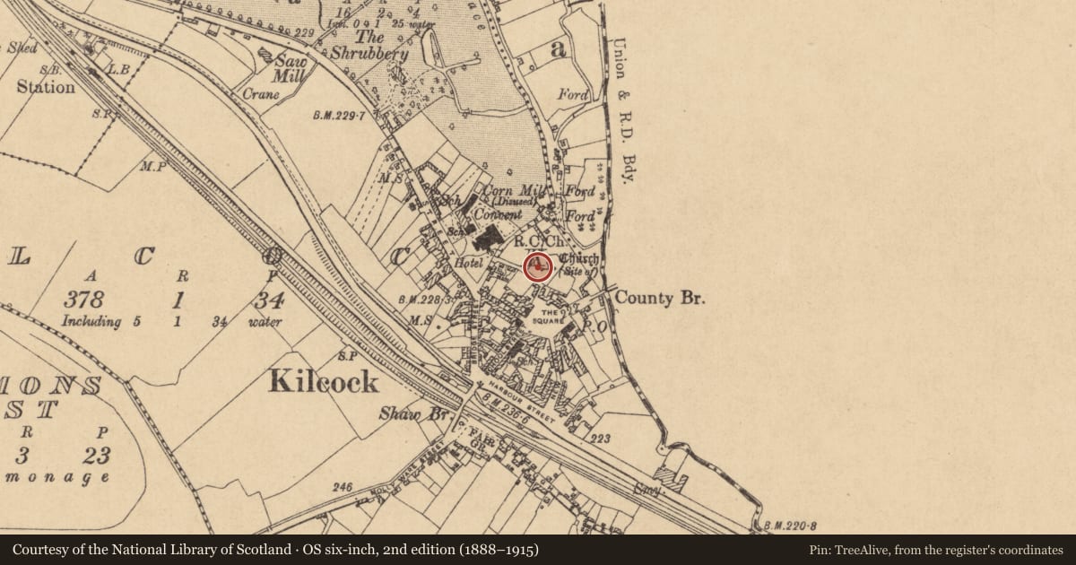 Ordnance Survey six-inch map, 2nd edition (1888–1915) covering the location of Coffin-resting stone, Kilcock, County Kildare, with a pin at the register's coordinates