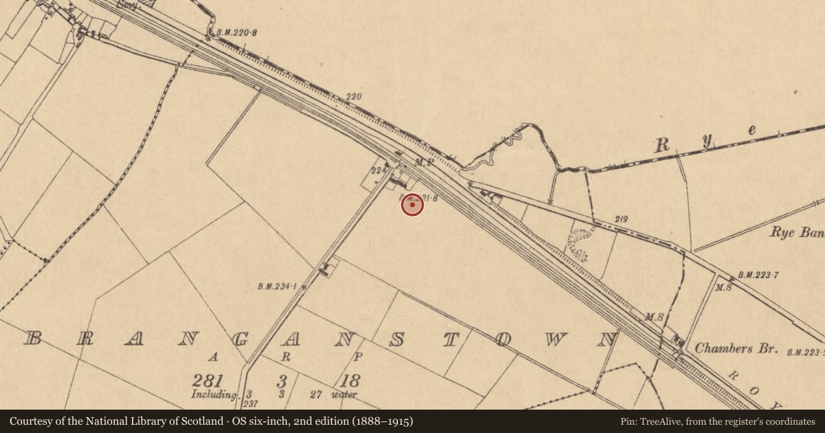 Ordnance Survey six-inch map, 2nd edition (1888–1915) covering the location of Ring-ditch, Branganstown, County Kildare, with a pin at the register's coordinates