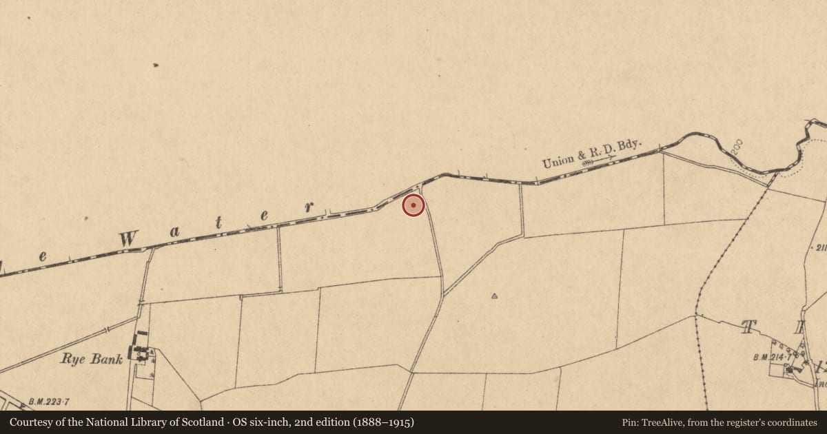 Ordnance Survey six-inch map, 2nd edition (1888–1915) covering the location of Moated site, Maws, County Kildare, with a pin at the register's coordinates
