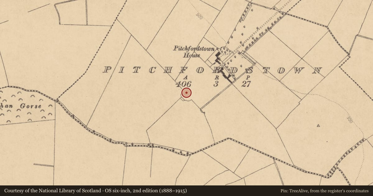 Ordnance Survey six-inch map, 2nd edition (1888–1915) covering the location of Ringfort - rath, Pitchfordstown, County Kildare, with a pin at the register's coordinates